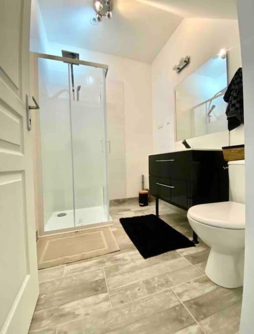 Appartement Centre Ville Saint-Amand-Mont-Rond Eksteriør billede